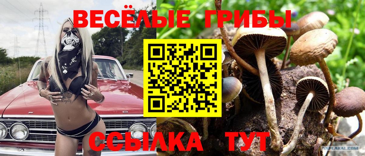 Галлюциногенные грибы Psilocybe  Галлюциногенные грибы мухоморы  Красногорск  Вход с VPN 